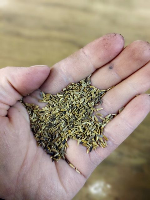 hoida perinnemaisemia ja perusta kukkaniitty.