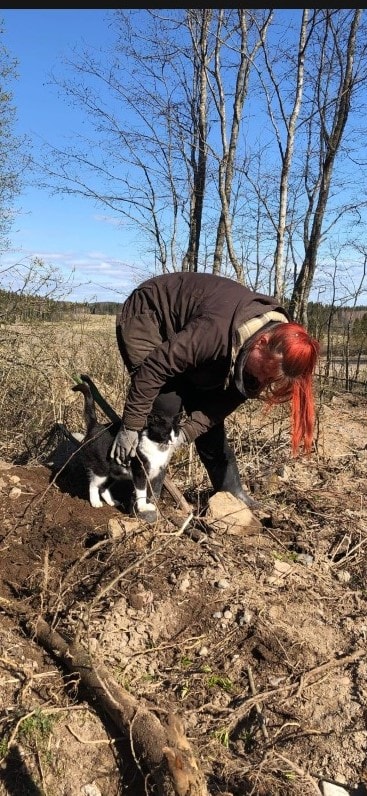 Seuraa miten Ófeigurin hulmuava kukkaniitty kasvaa