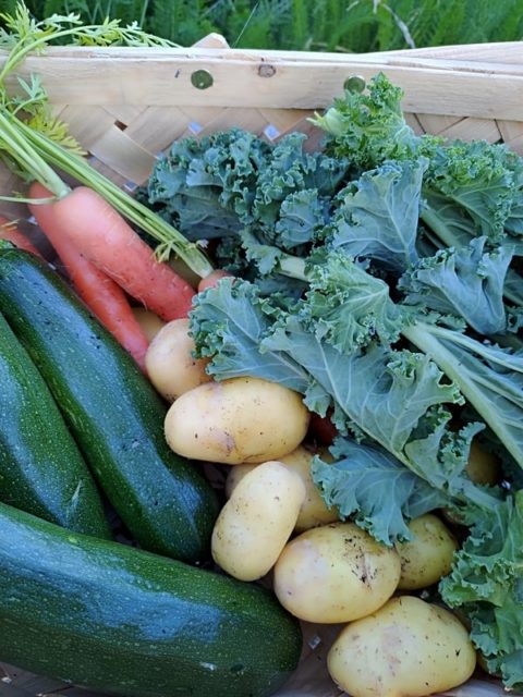 Tee pienen pihan isot kasvimaahaaveet todeksi...