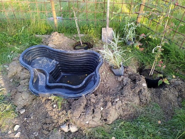 Oletko jo kokeillut näitä esimerkkejä puutarhassasi?