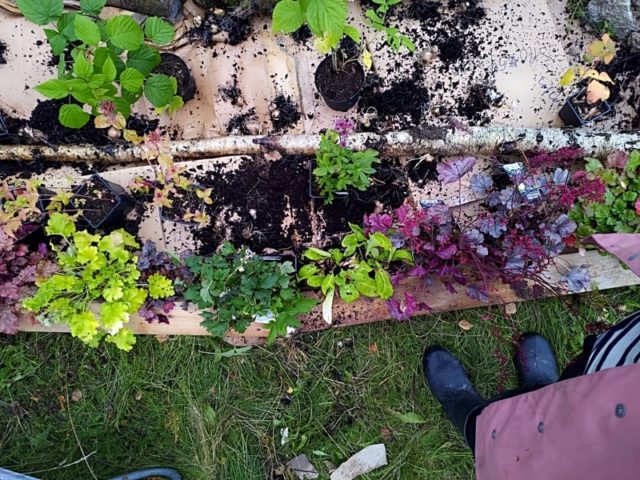 Oletko jo kokeillut näitä esimerkkejä puutarhassasi?