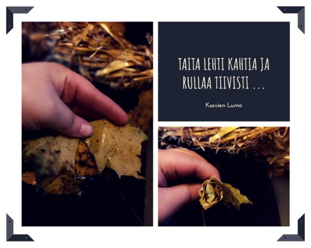 Näin teet itsesi näköisen syyskranssin luonnonaarteista