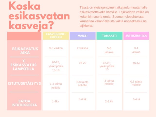 Mietitkö miten siemenet kylvetään ja esikasvatetaan?