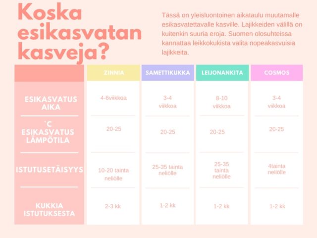 Mietitkö miten siemenet kylvetään ja esikasvatetaan?