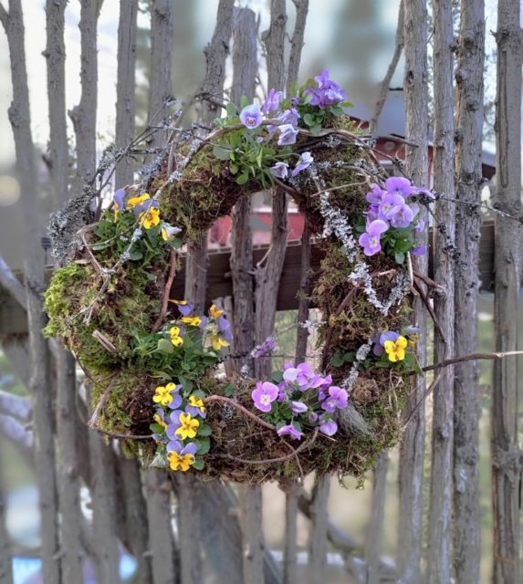 Näin teet kukkivan ja pitkään kukoistavan kevätkranssin