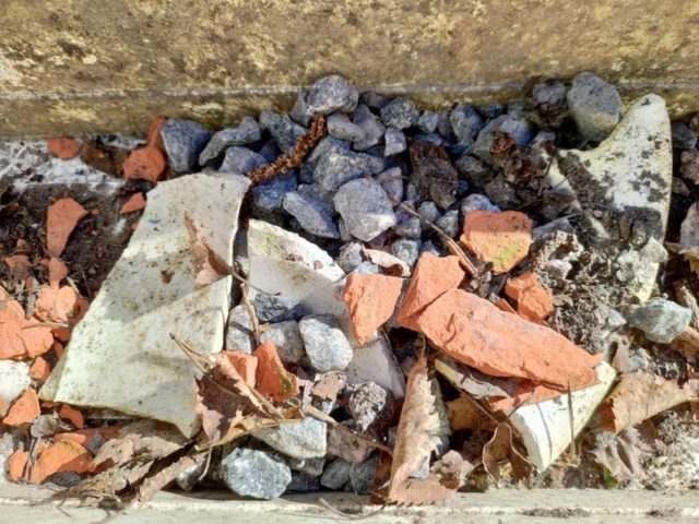 Lue kesäkukkien istutus ja sommittelu vinkit