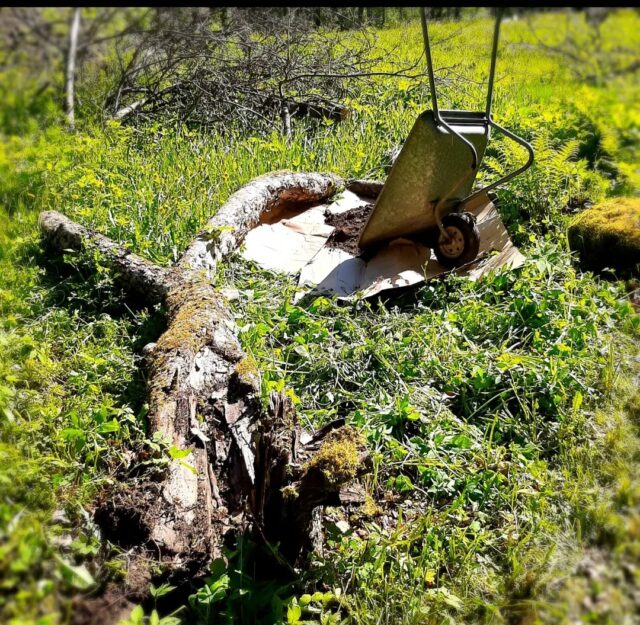 no dig, kasvimaa, kukkapenkki