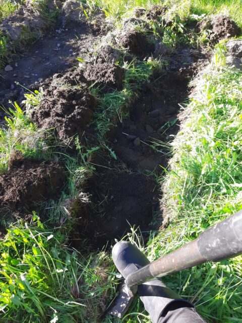 Kasvimaa, lapiointi, kukkapenkki, vihannesmaa