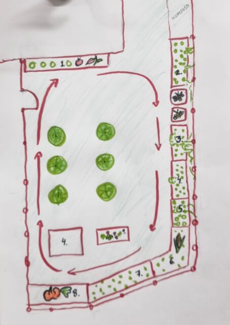 kasvimaa, kasvusuunnitelma